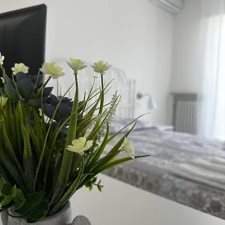 Debbis * Misano Adriatico